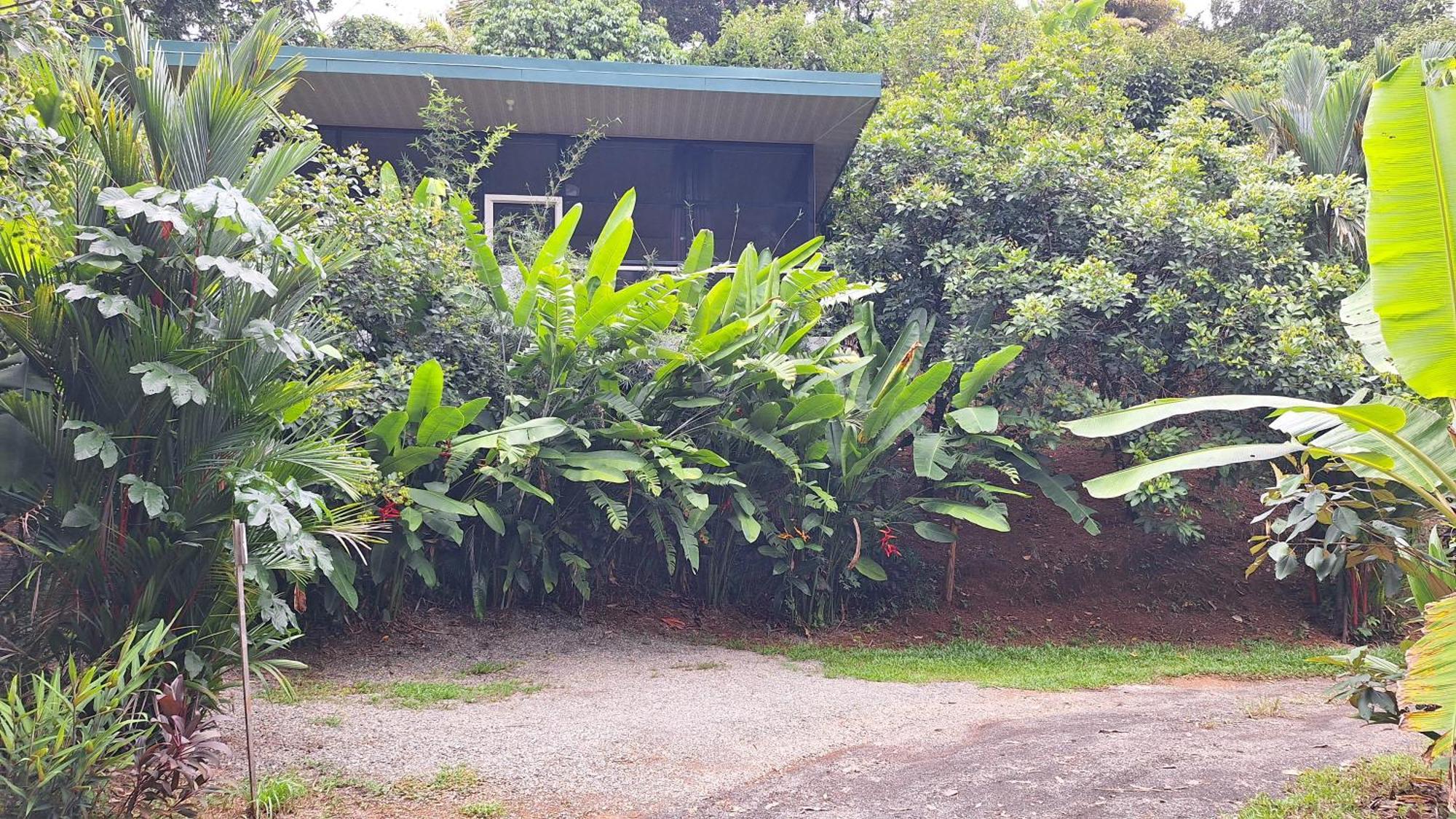 Cabinas Fave Uvita Exterior photo